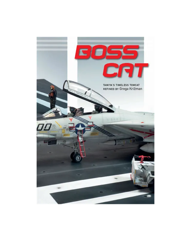 AFV Modeller AIR90 Timeless Tomcat articolo PDF F-14