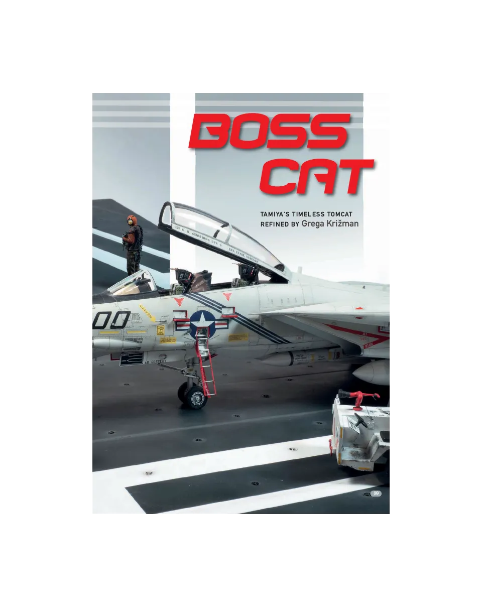 AFV Modeller AIR90 Timeless Tomcat articolo PDF F-14