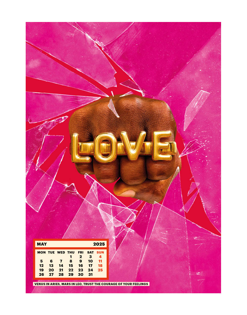 TOILETPAPER Calendar 2025 calendario parete 28x39 cm