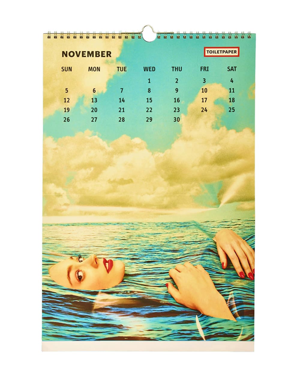 TOILETPAPER Calendar 2017 calendario parete 28x22
