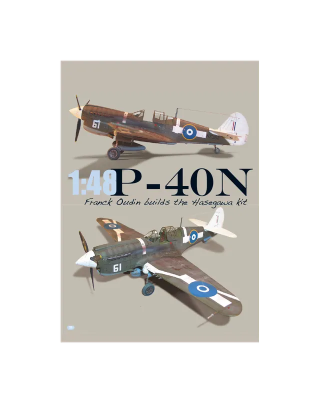 AFV Modeller AIR17 articolo PDF P-40N