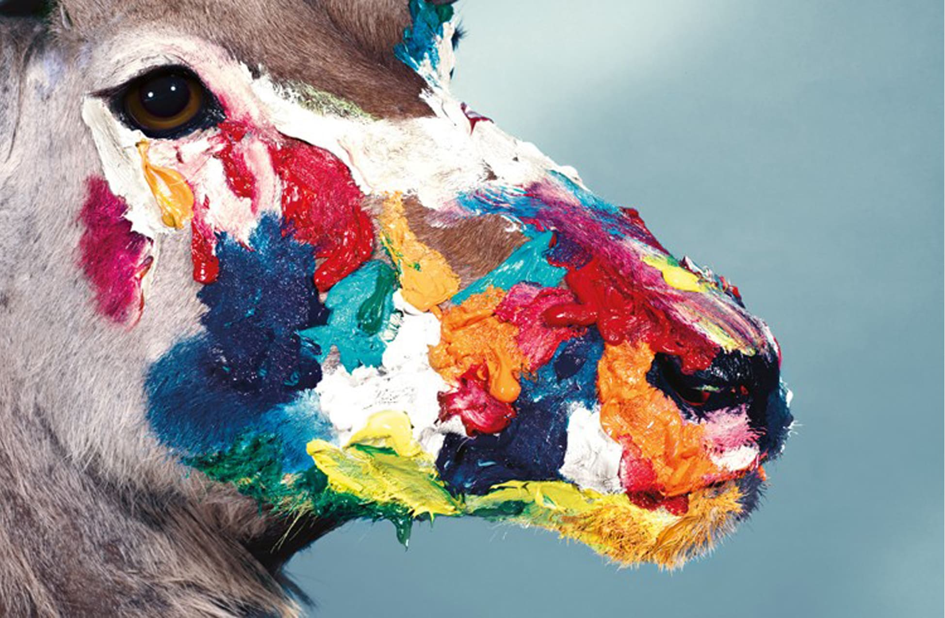 TOILETPAPER Magazine N.3 rivista illustrata