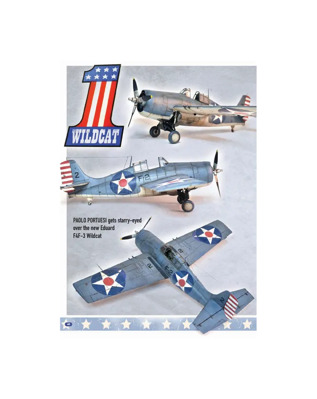 AFV Modeller AIR105 rivista pdf Wildcat