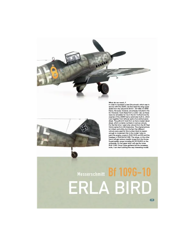 AFV Modeller AIR104 articolo PDF Erla Bird