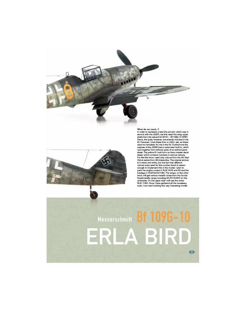 AFV Modeller AIR104 articolo PDF Erla Bird