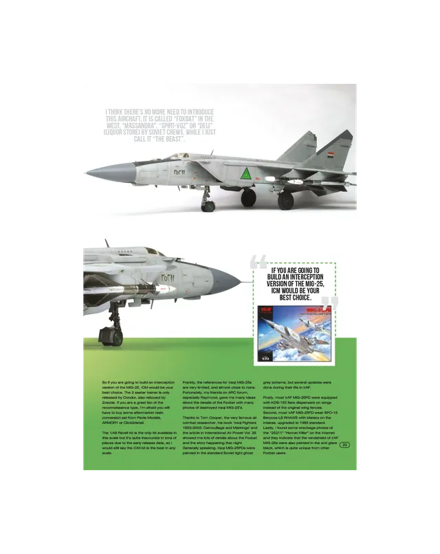 AFV Modeller AIR 39 Foxbat MiG iracheno articolo PDF