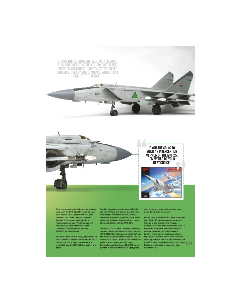 AFV Modeller AIR 39 Foxbat MiG iracheno articolo PDF