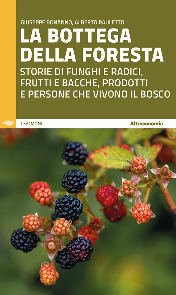 Altreconomia La bottega della foresta guida funghi bosco