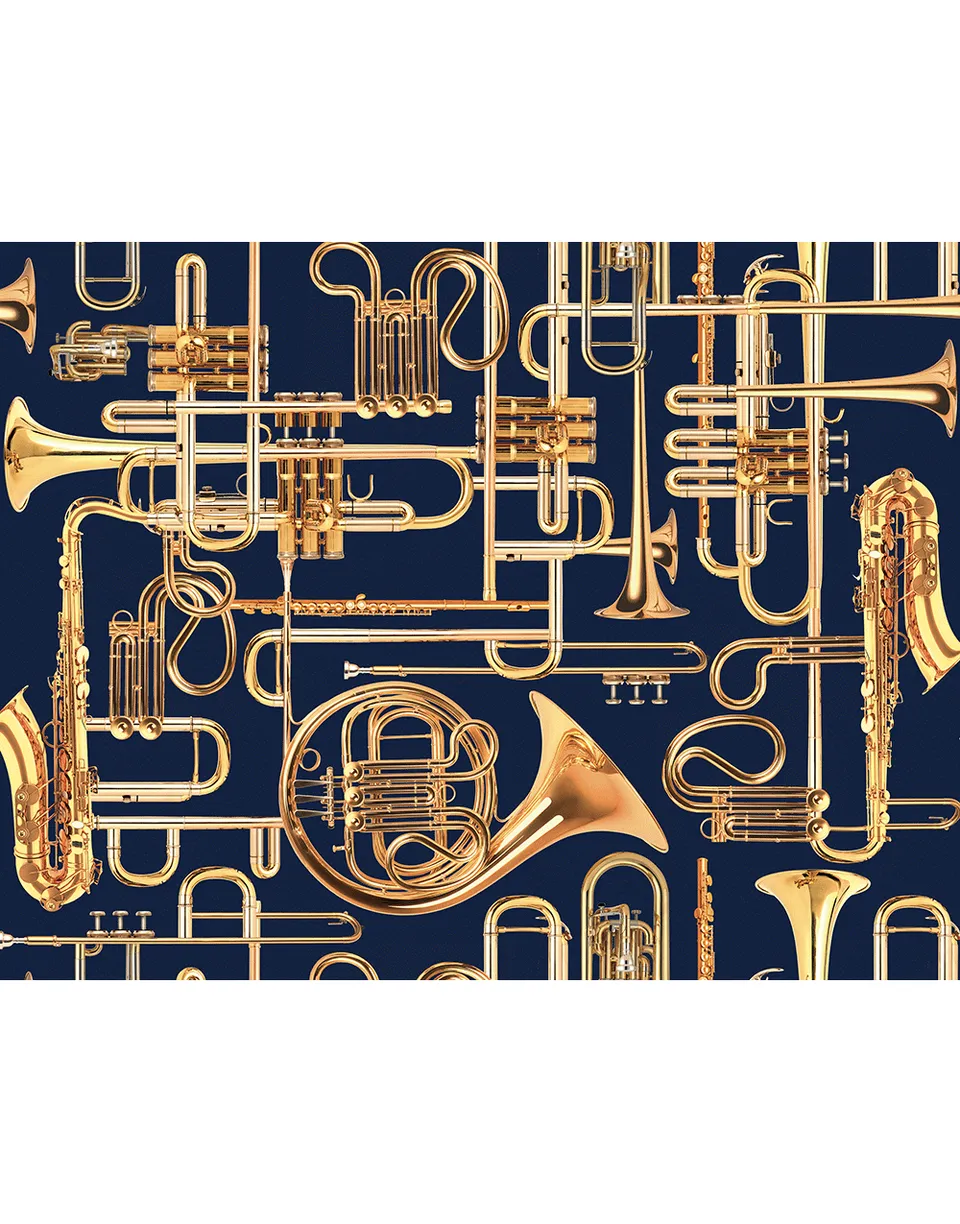 TOILETPAPER Donald Trumpet carta da parati Black 400x310 cm