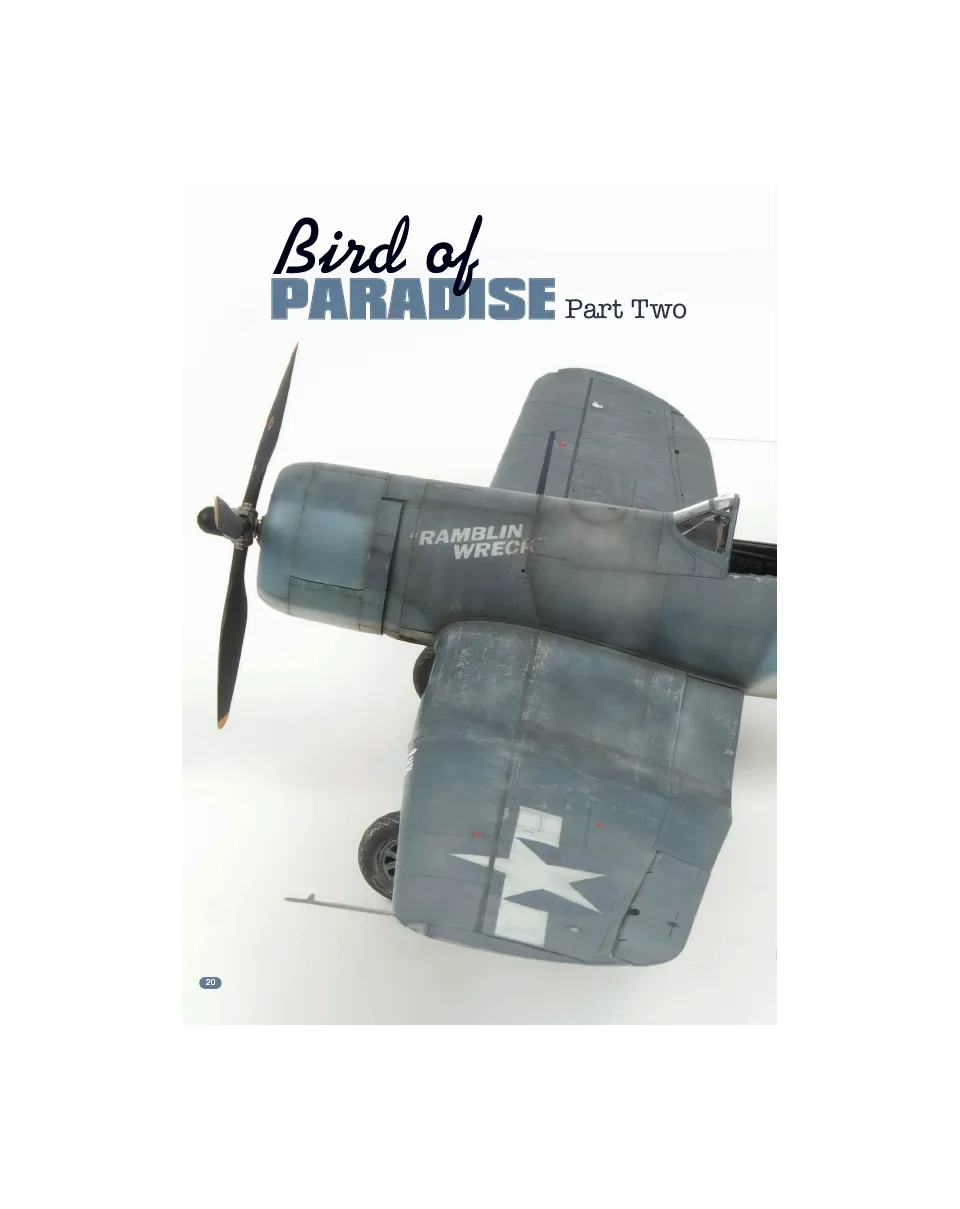 AIR Modeller AIR52 articolo PDF Bird of Paradise 2 copia singola