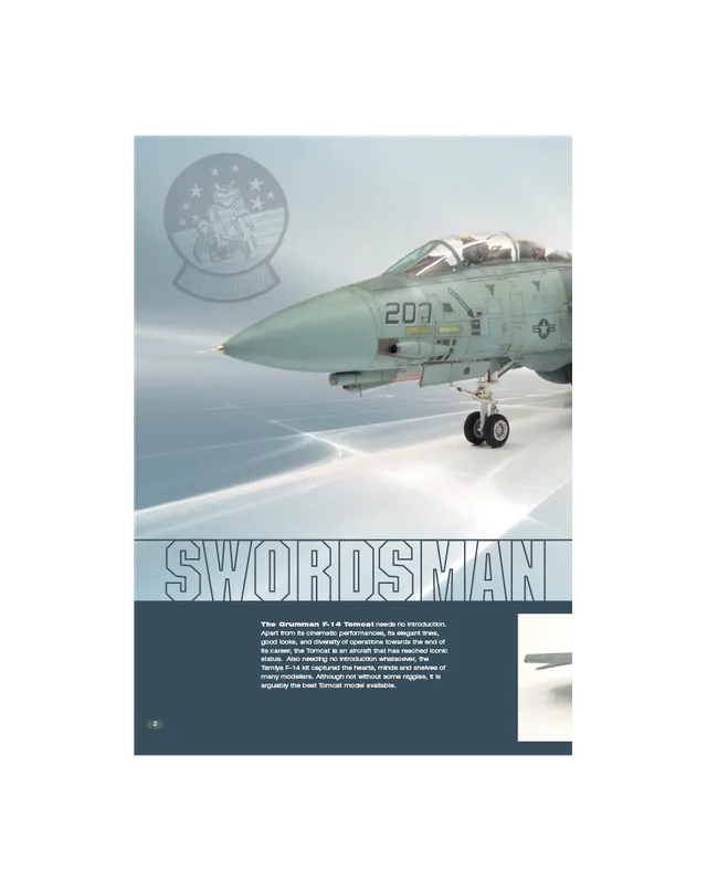 AFV Modeller AIR75 F-14A articolo PDF modellismo