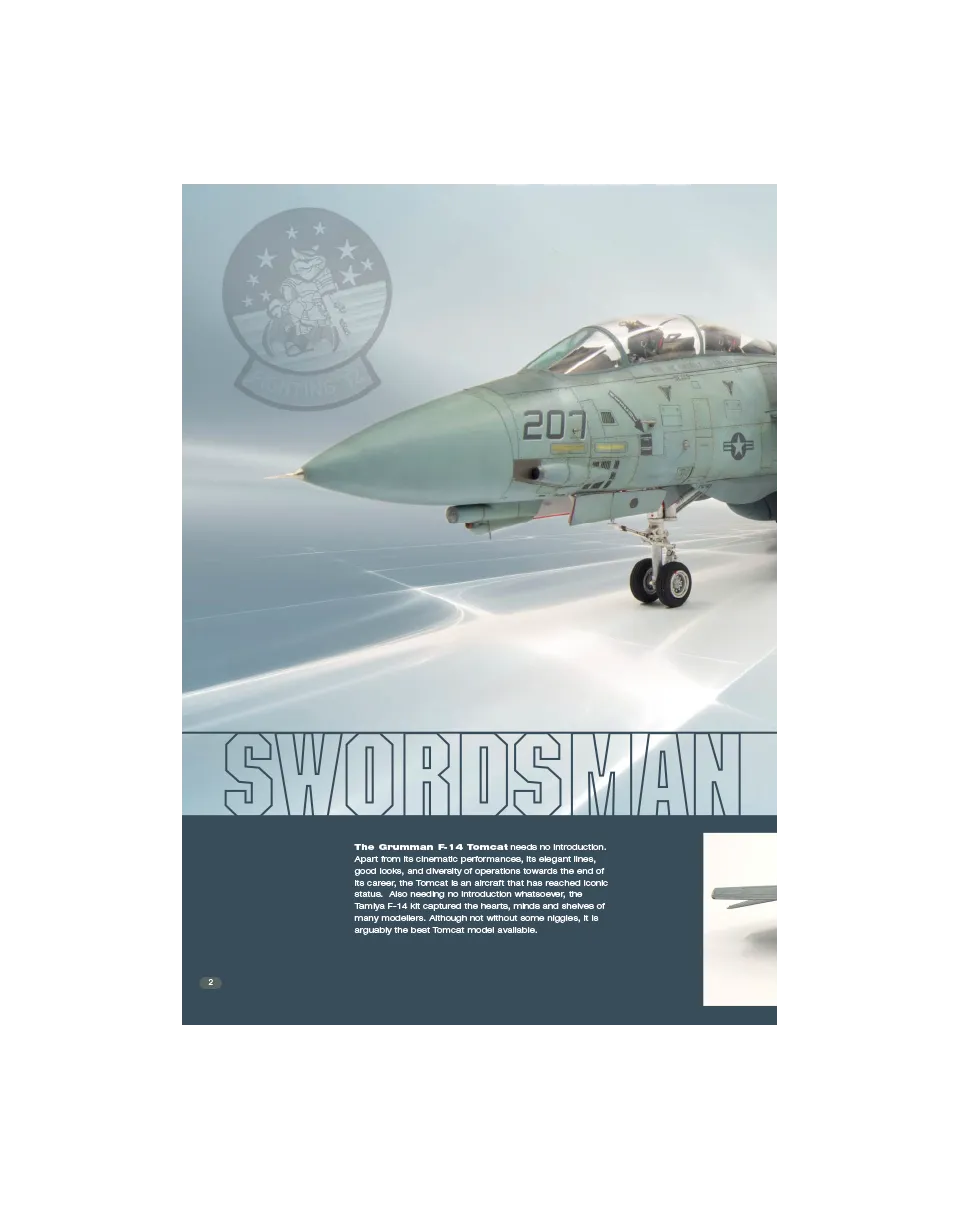 AFV Modeller AIR75 F-14A articolo PDF modellismo