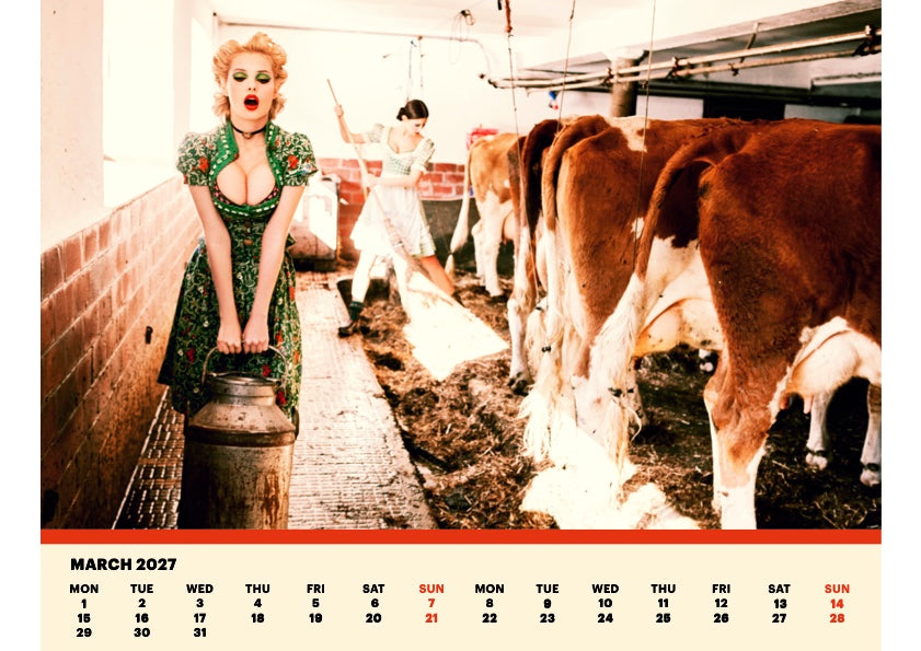 TOILETPAPER Calendar 2027 calendario da muro 38,7x30 cm