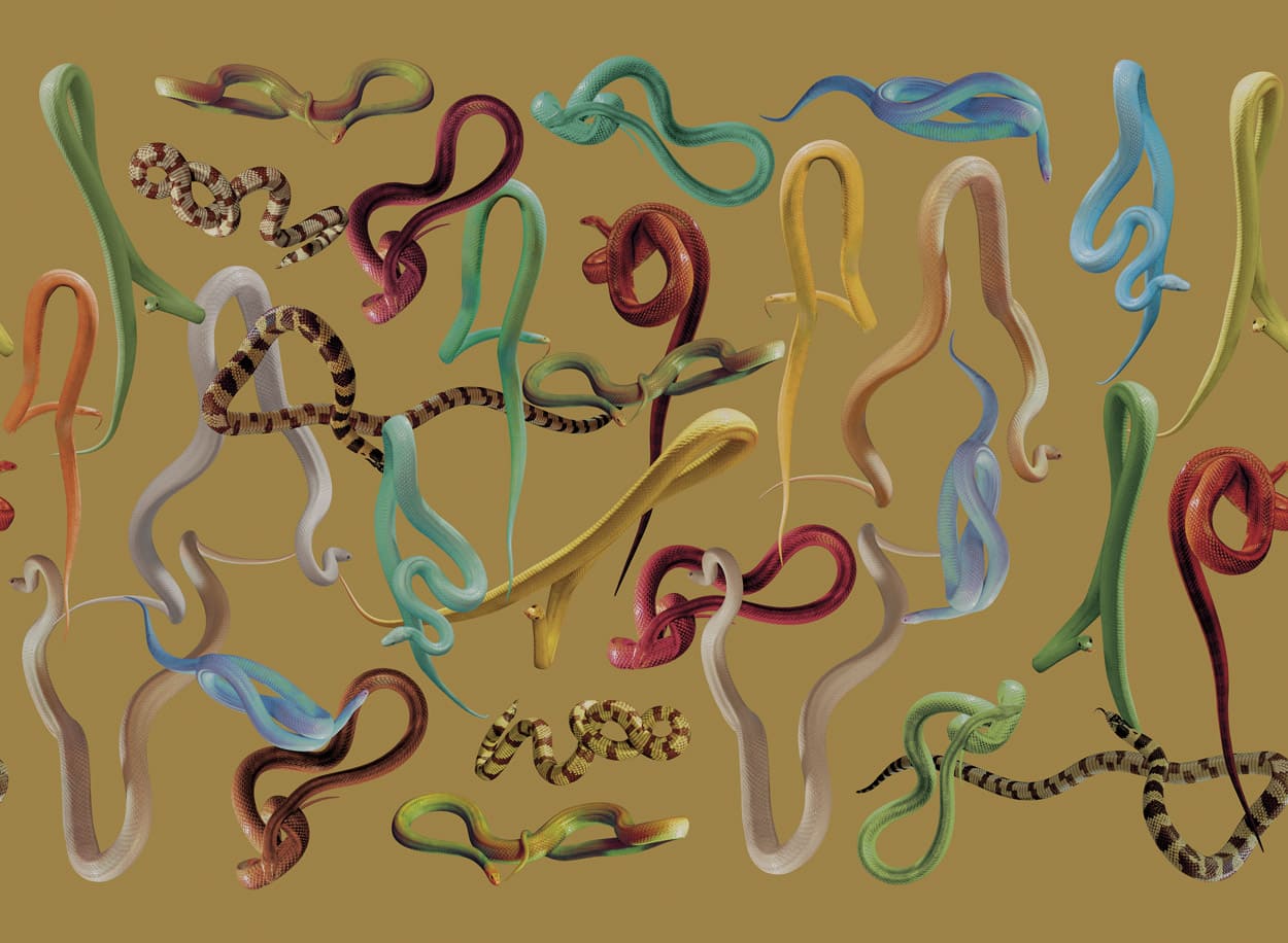 TOILETPAPER Snakes Storm carta da parati Oro 400x310 cm
