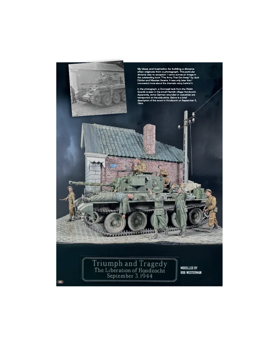 AFV Modeller AFV146 Triumph and Tragedy articolo PDF copia singola