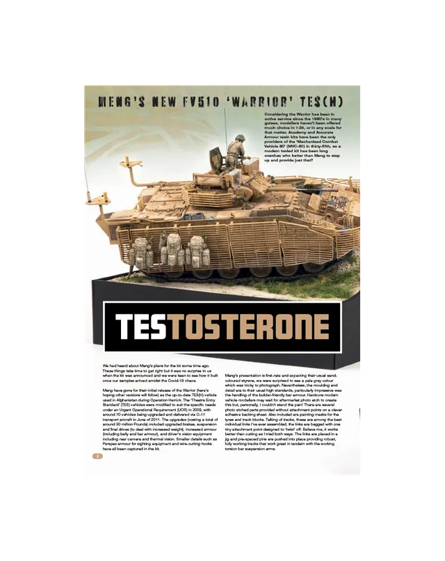AFV Modeller 114 articolo PDF TES-Tosterone copia singola