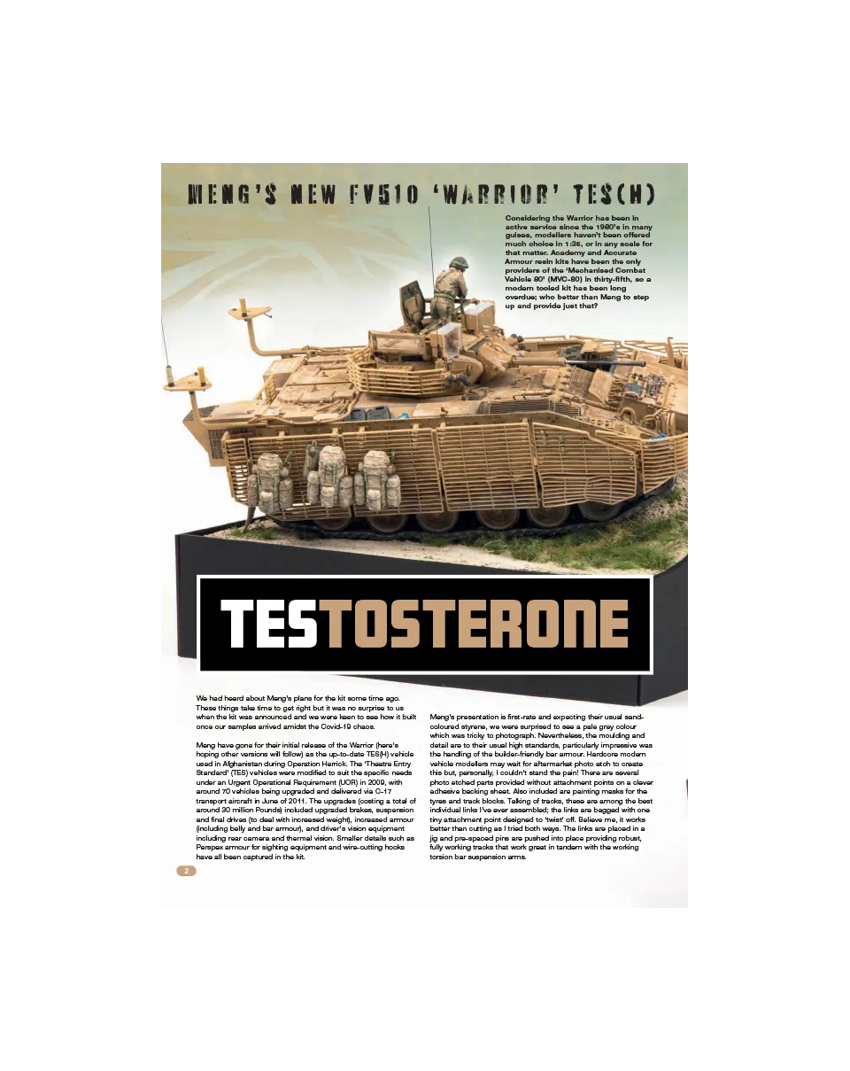 AFV Modeller 114 articolo PDF TES-Tosterone copia singola