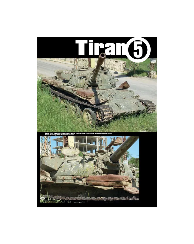 AFV Modeller AFV72 South Lebanon rivista pdf walkaround