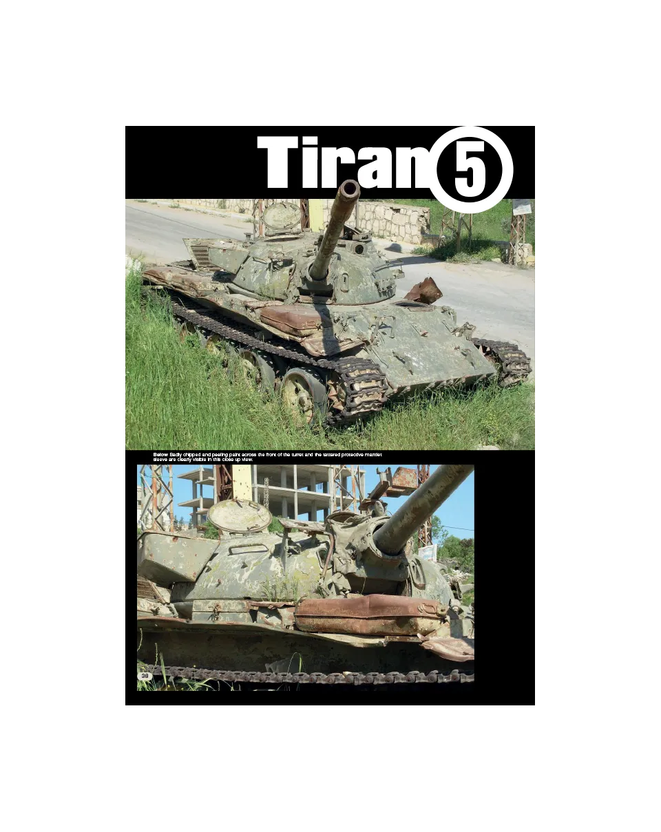 AFV Modeller AFV72 South Lebanon rivista pdf walkaround