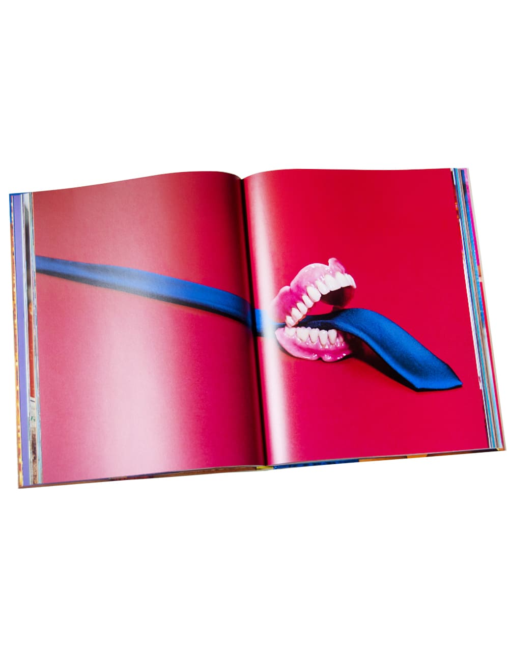 TOILETPAPER ToiletMartin PaperParr libro Collector 192 pp