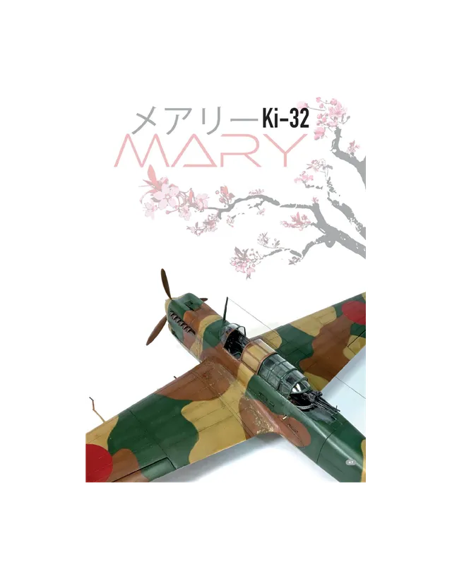 AIR Modeller AIR116 rivista PDF Something About Mary