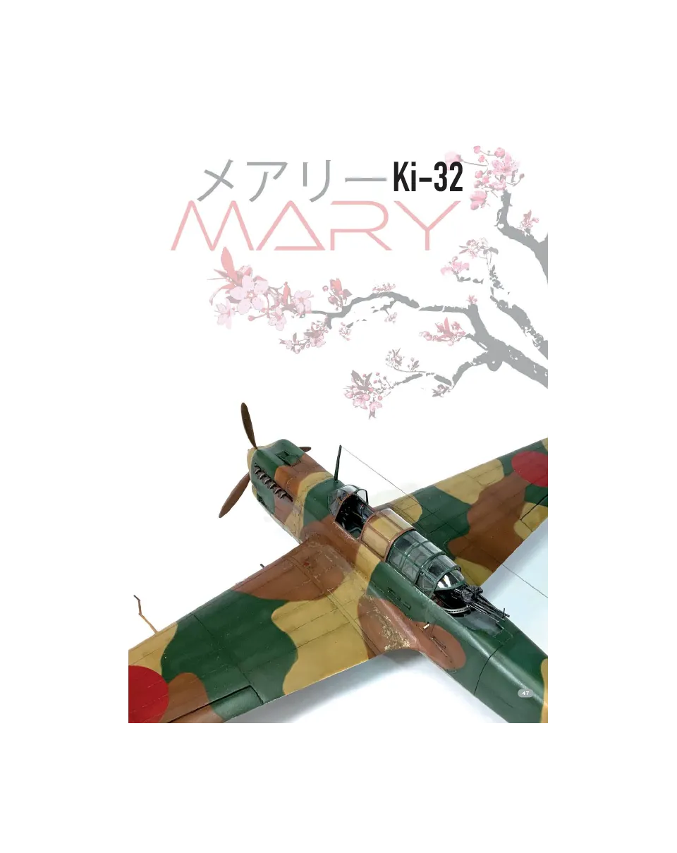AIR Modeller AIR116 rivista PDF Something About Mary