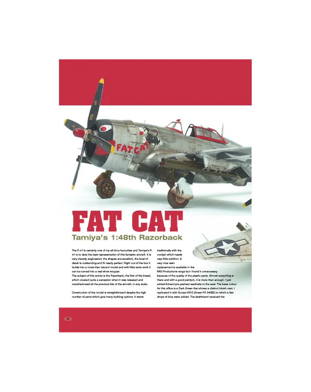 AFV Modeller AIR9 Fat Cat rivista PDF numero singolo