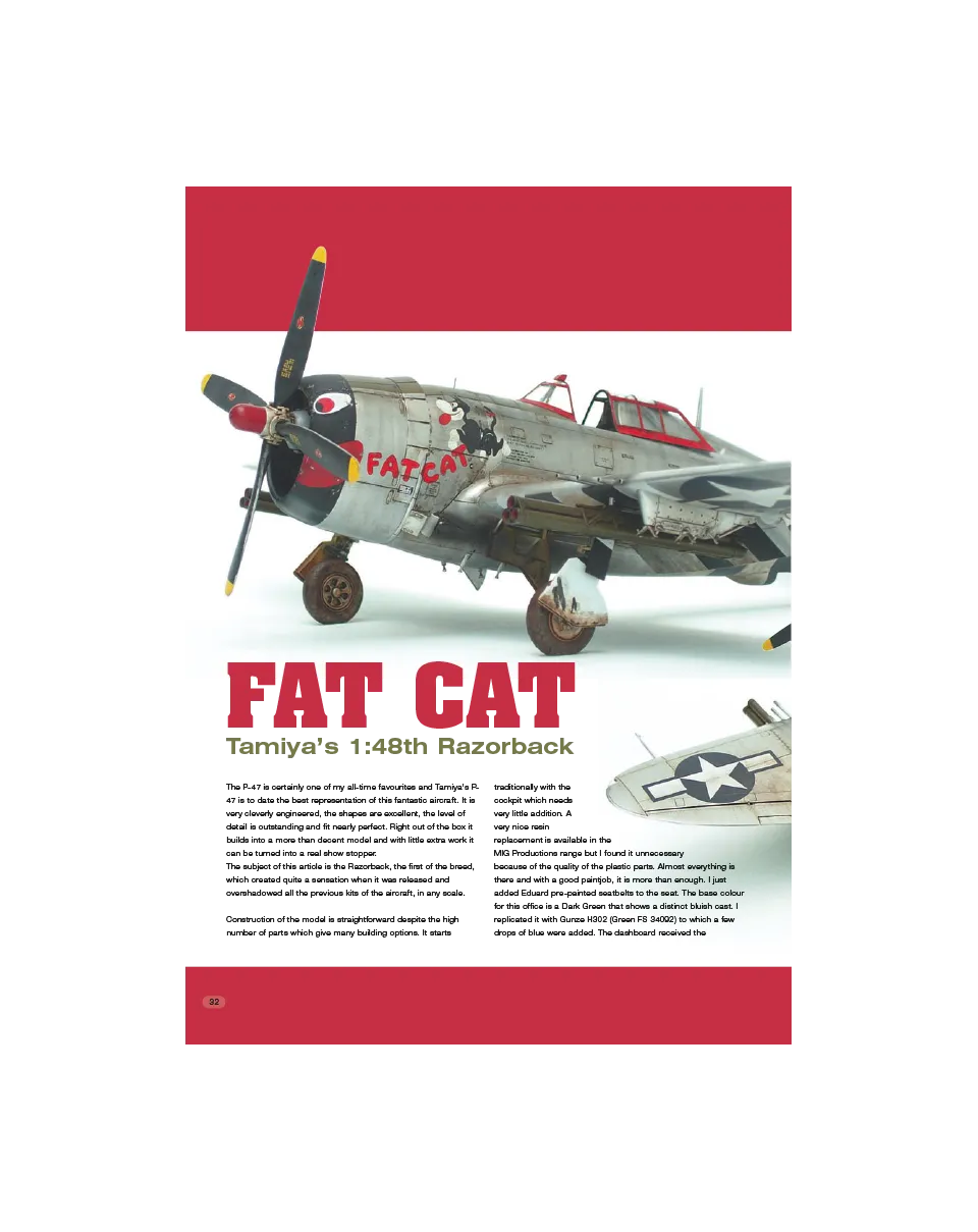 AFV Modeller AIR9 Fat Cat rivista PDF numero singolo