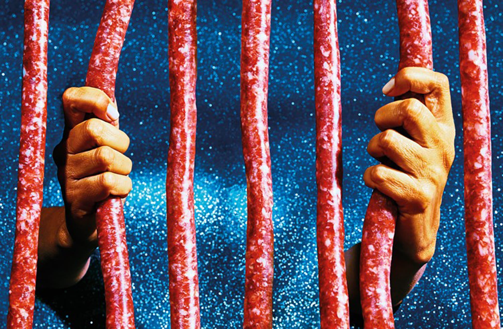 TOILETPAPER Magazine N.8 rivista copia singola arte