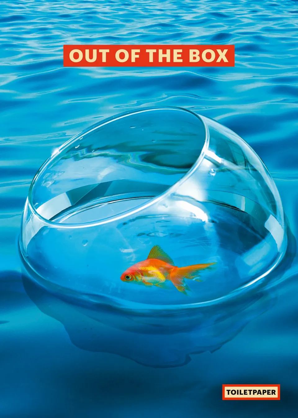 TOILETPAPER Goldfish poster 50x70 cm pesce rosso