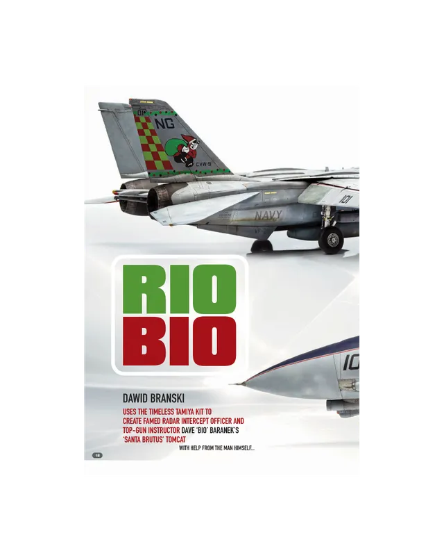 AFV Modeller AIR112 F-14A articolo PDF copia singola