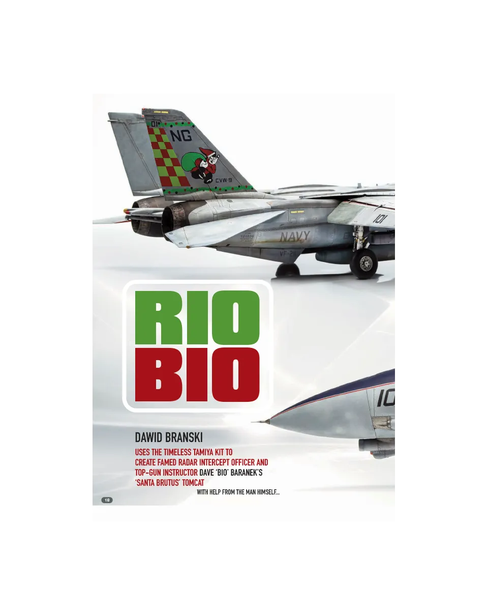 AFV Modeller AIR112 F-14A articolo PDF copia singola