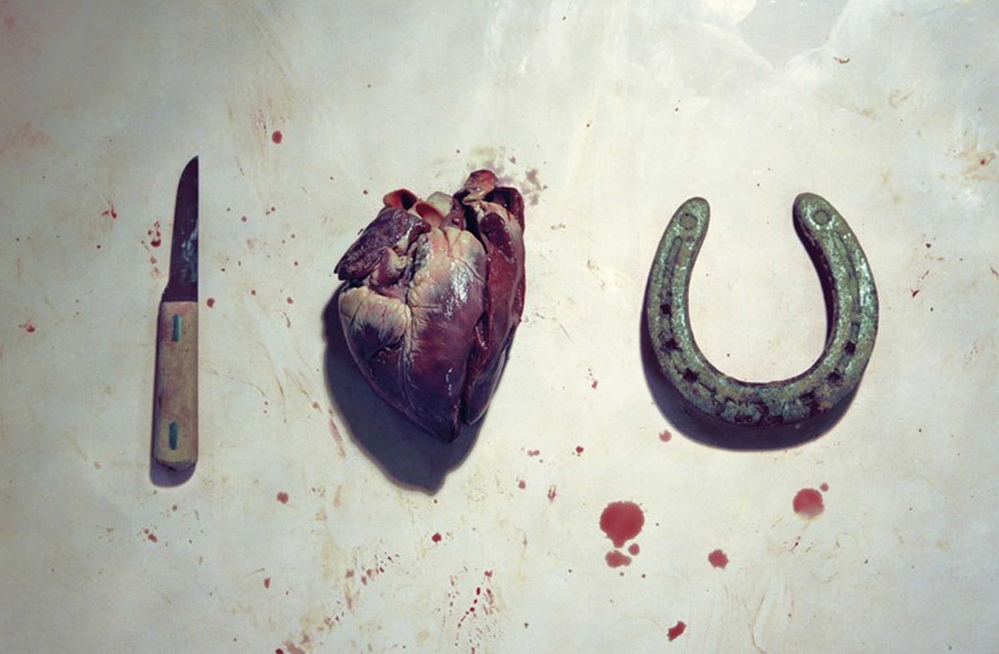 TOILETPAPER Magazine N.2 rivista copia singola illustrata