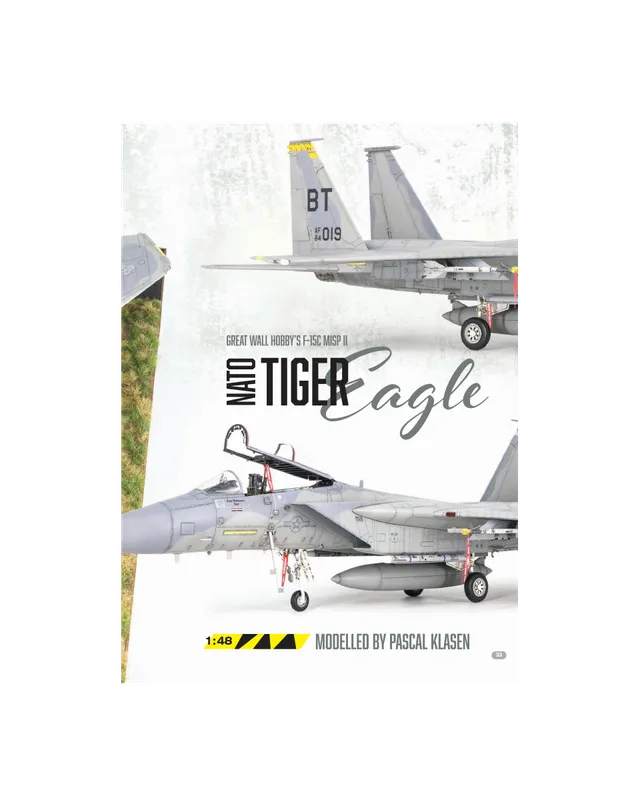 AFV Modeller AIR106 articolo PDF NATO Tiger Eagle caccia