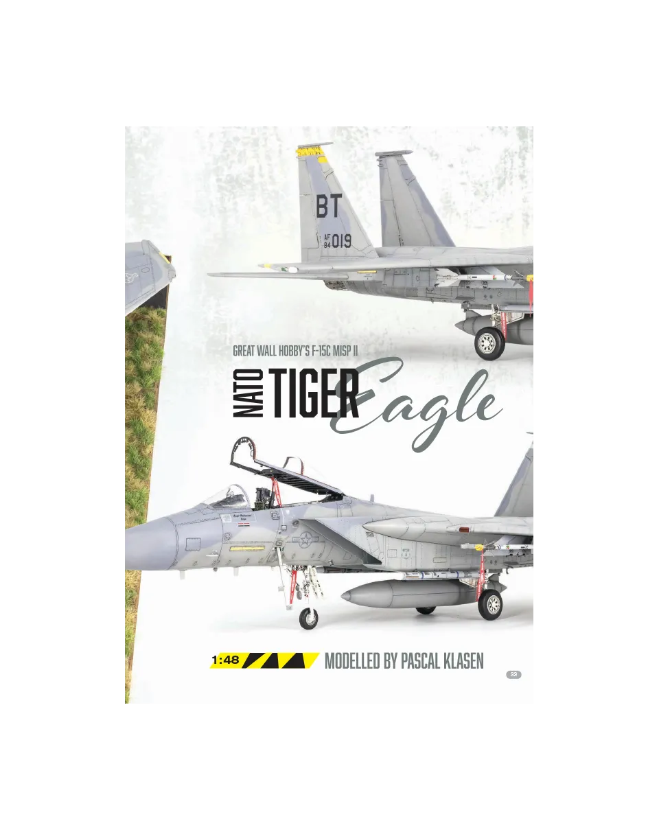 AFV Modeller AIR106 articolo PDF NATO Tiger Eagle caccia