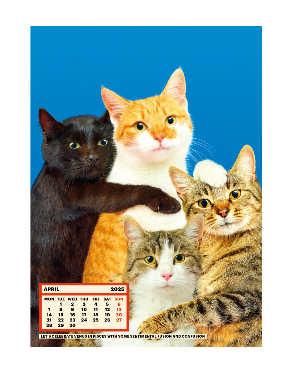 TOILETPAPER Calendar 2025 calendario parete 28x39 cm