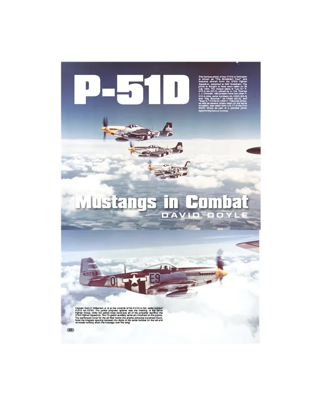 AFV Modeller AIR38 Mustang in Combat articolo PDF copia singola