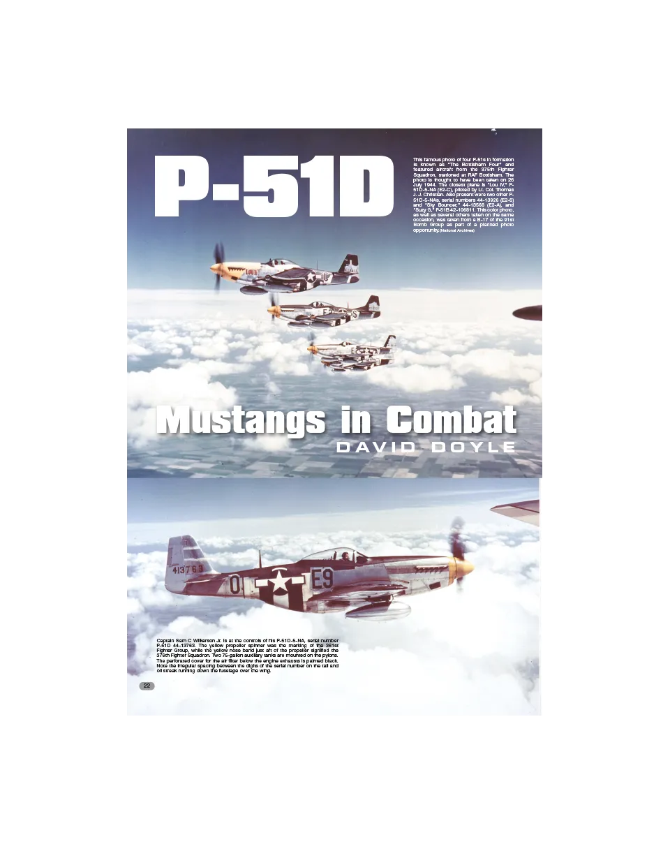 AFV Modeller AIR38 Mustang in Combat articolo PDF copia singola