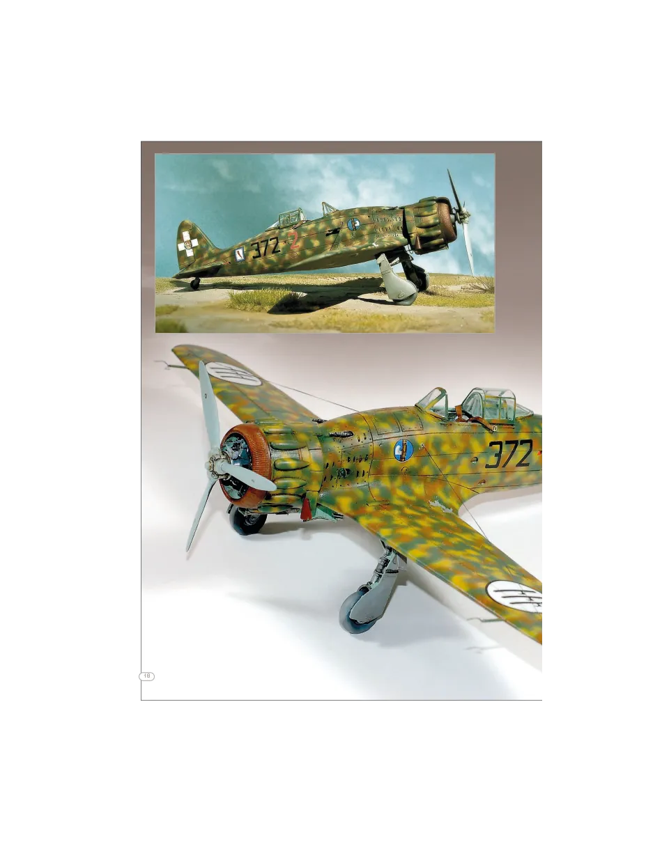 AFV Modeller AIR48 Macchi 200 1:48 articolo PDF Italeri
