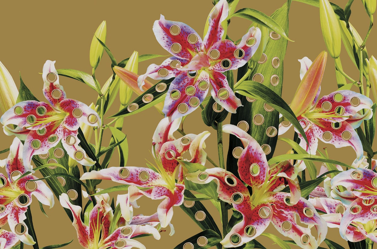 TOILETPAPER Wallpaper HOLES OF PARADISE carta parati Oro 400x310