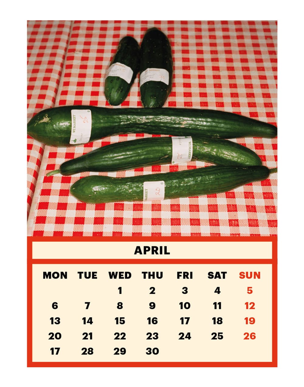 TOILETPAPER Calendar 2020 calendario parete 28x22