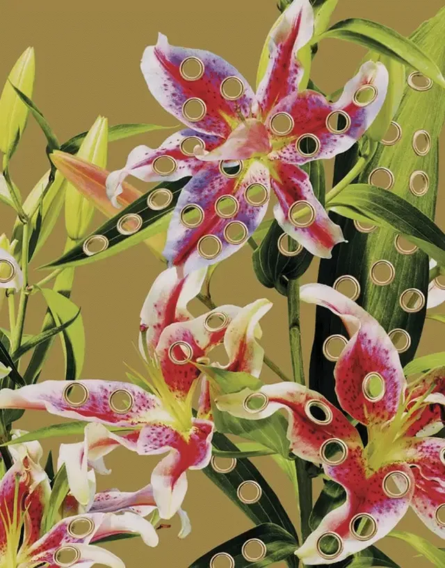 TOILETPAPER Wallpaper HOLES OF PARADISE carta parati Oro 400x310