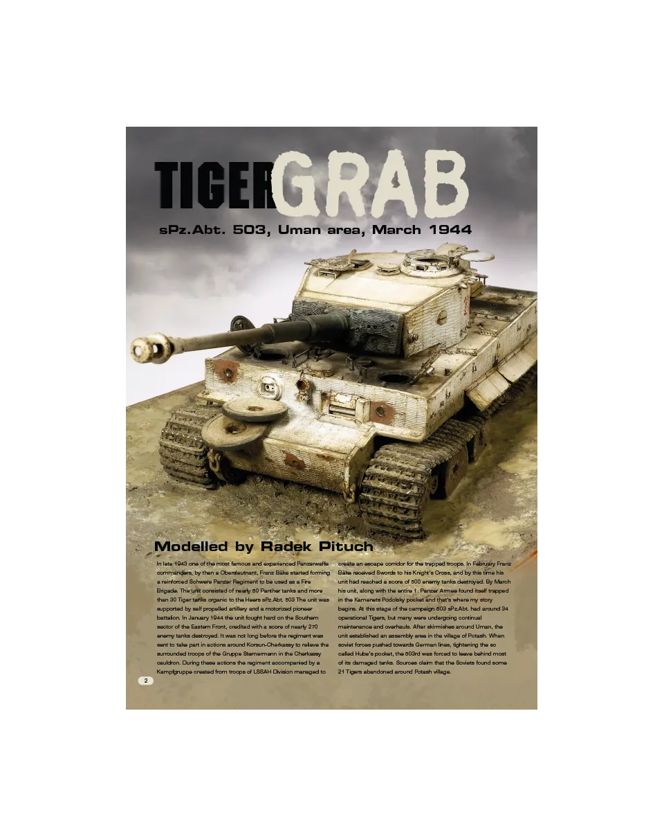 AFV Modeller AFV65 Tiger Grab Radek Pituch rivista PDF