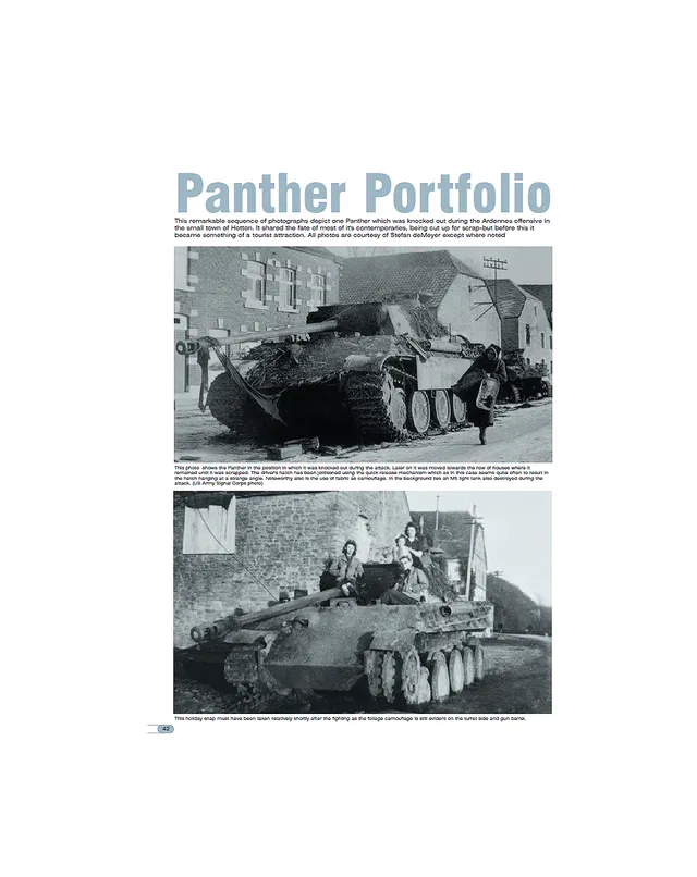 AFV Modeller Issue 16 Articolo PDF Panther Portfolio copia singola