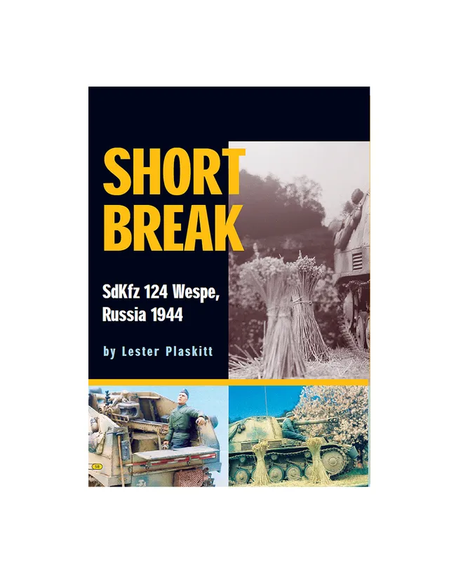 AFV Modeller Issue 9 Short Break rivista PDF copia singola