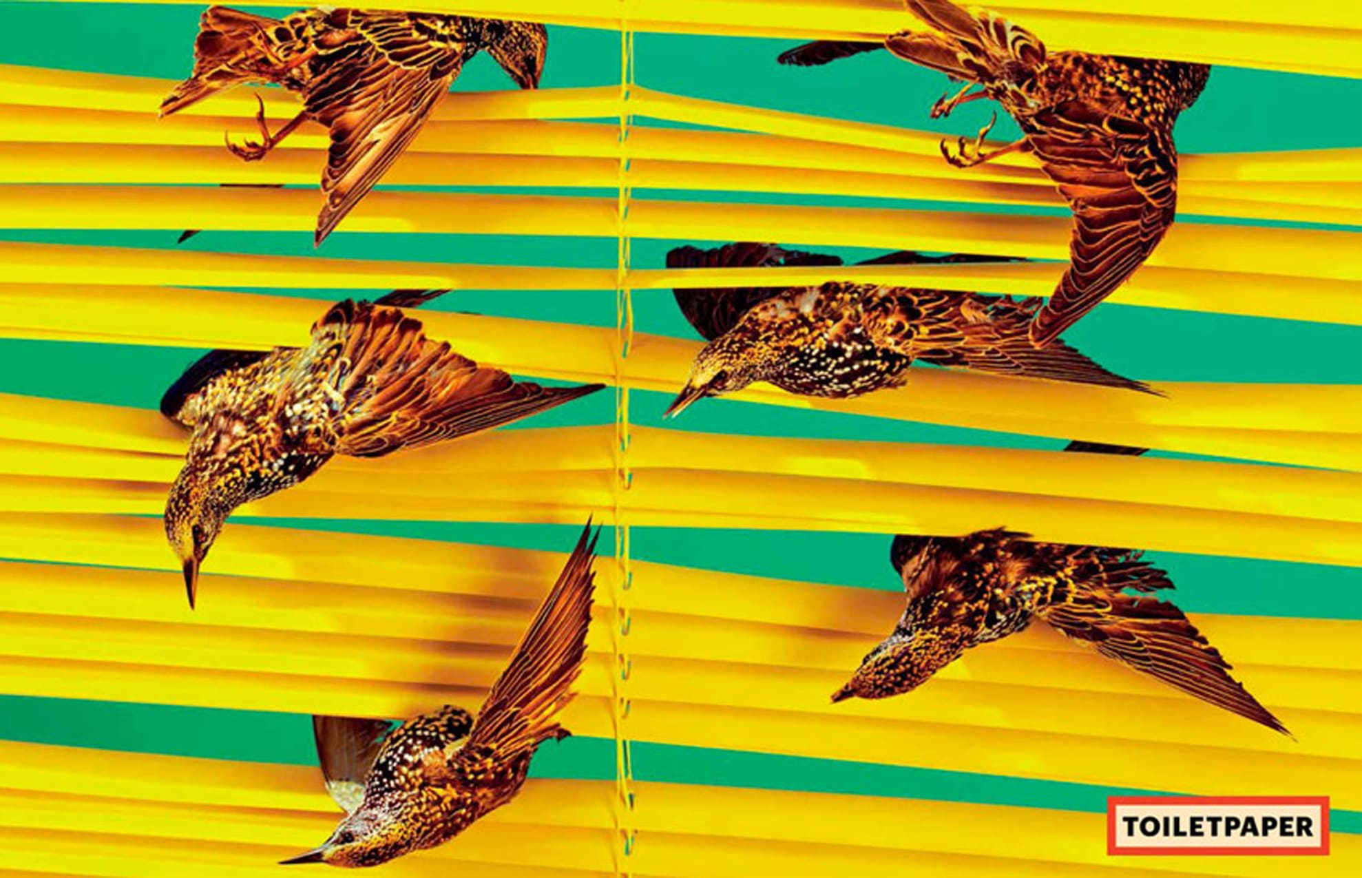 TOILETPAPER Magazine N.11 rivista copia singola da collezione