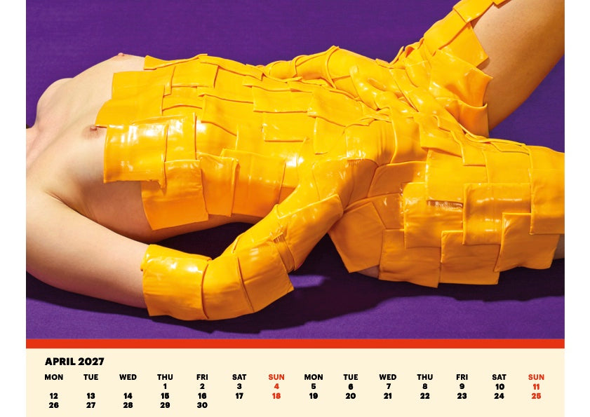 TOILETPAPER Calendar 2027 calendario da muro 38,7x30 cm