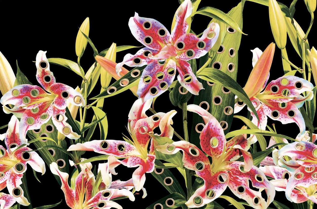 TOILETPAPER Wallpaper HOLES OF PARADISE carta parati Oro 400x310