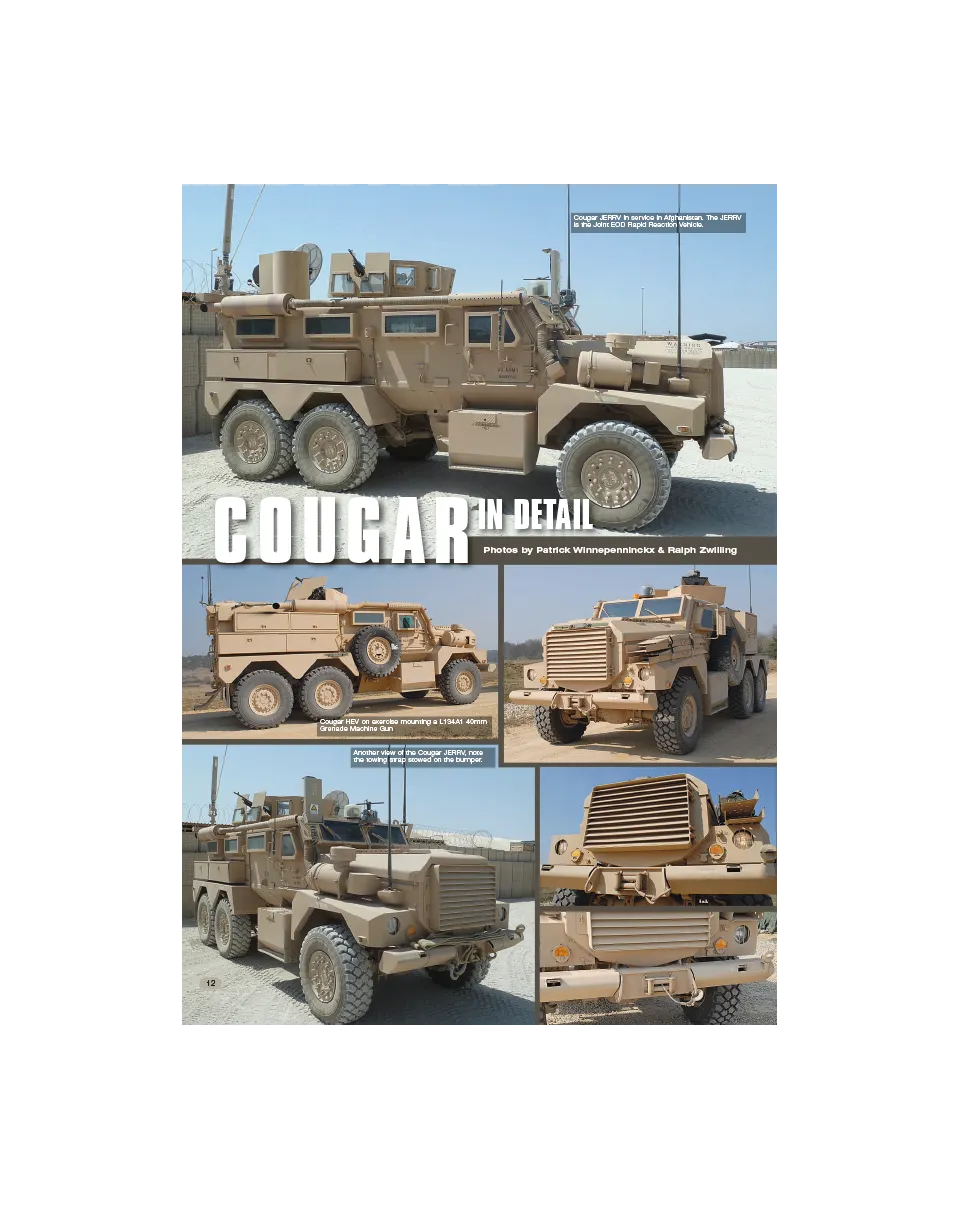 AFV Modeller AFV82 Cougar Details articolo PDF blindati