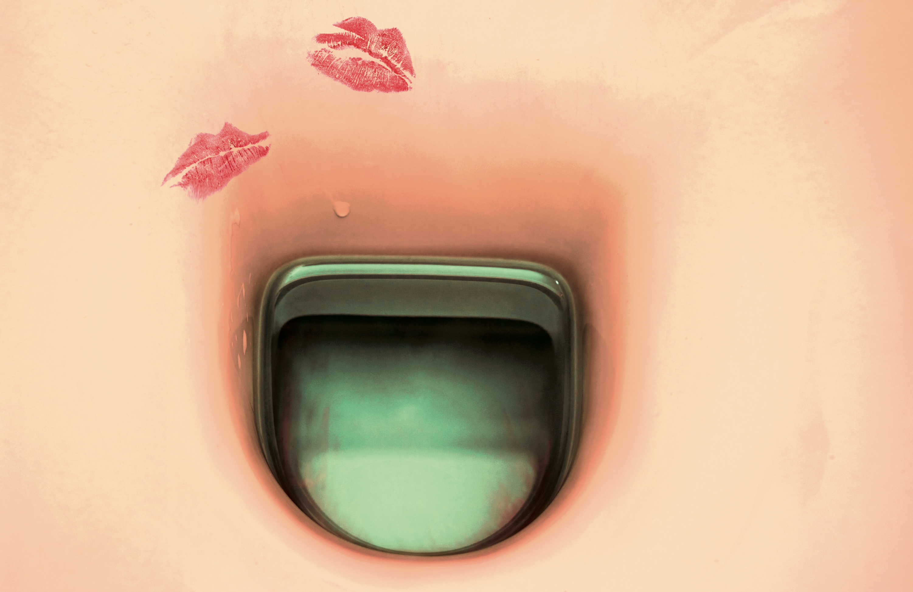 Toiletpaper PaperParr rivista 40 pagine inglese